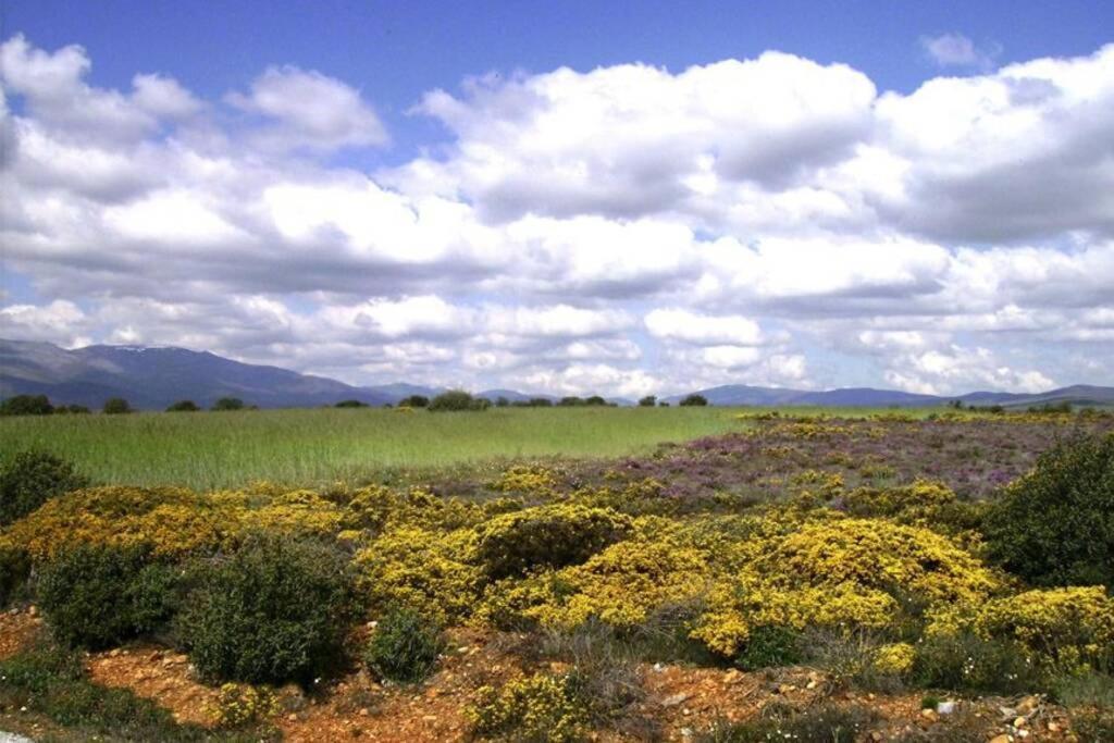 Casa Camarga Βίλα Santiago Millas Εξωτερικό φωτογραφία